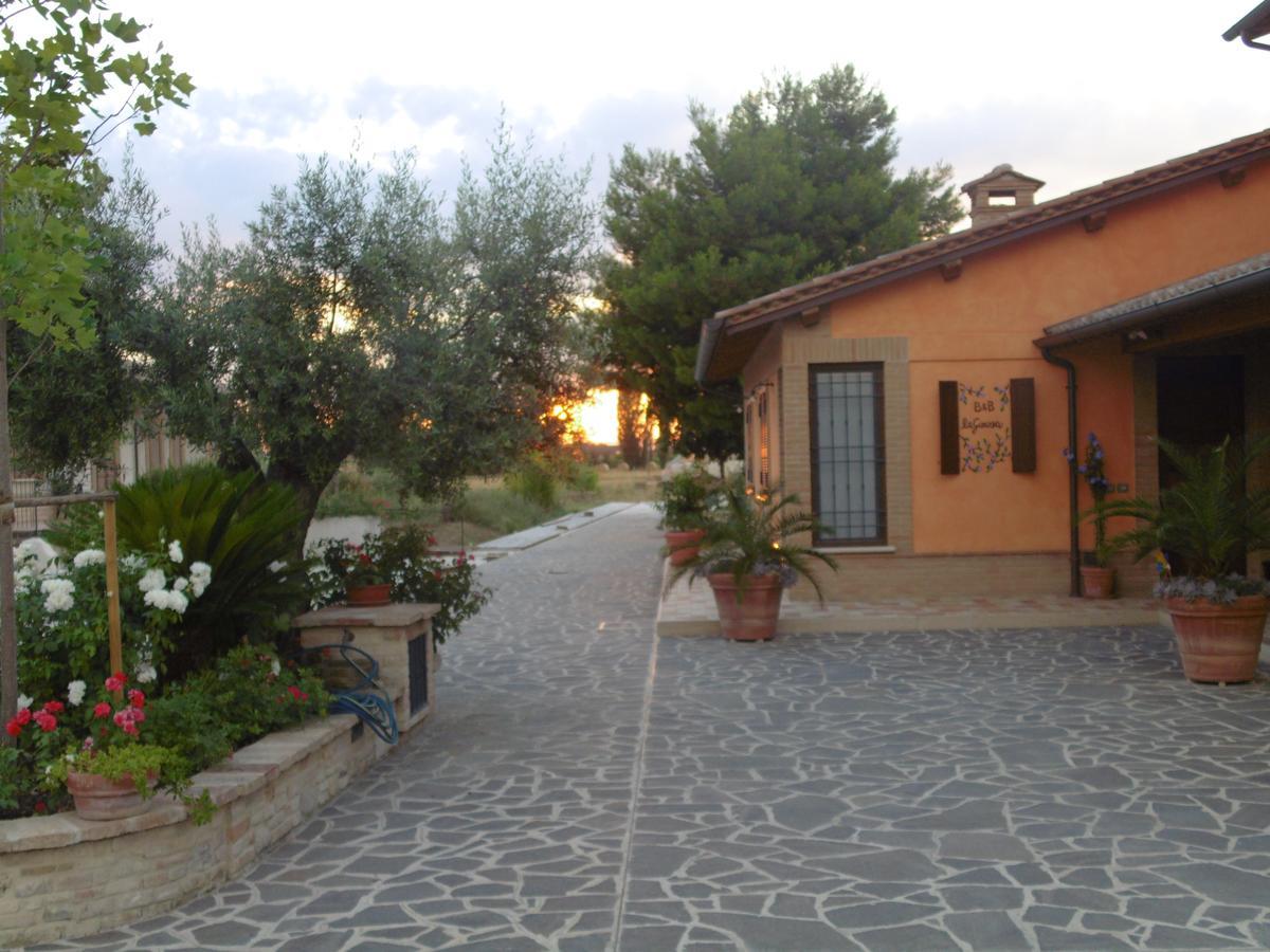 B&B La Gioiosa Assisi Exterior photo